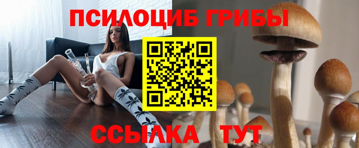 Мирный  Псилоцибиновые грибы ЛСД  Вход с VPN 